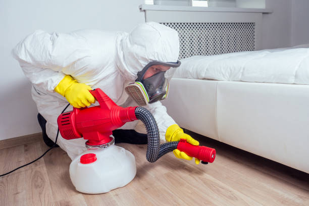 Best Pest Prevention Services  in Emmon, AK